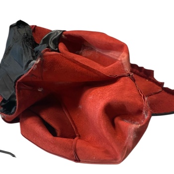 photoroom_012_20241128_180406