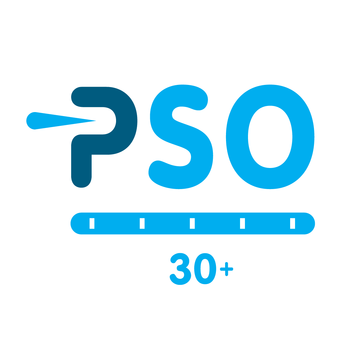 Prestatieladder Sociaal Ondernemen, trede 30+